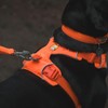 RUFFWEAR Front Range Harness, Reflective Y Medium Dog Harness, Adjustable