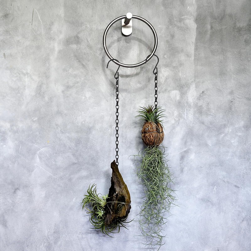 MOUYAT 40 Pack 10 Inch Black Plant Hanging Chains, Heavy
