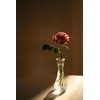 Set of 24 Glass Vase, Bud Vases in Bulk with