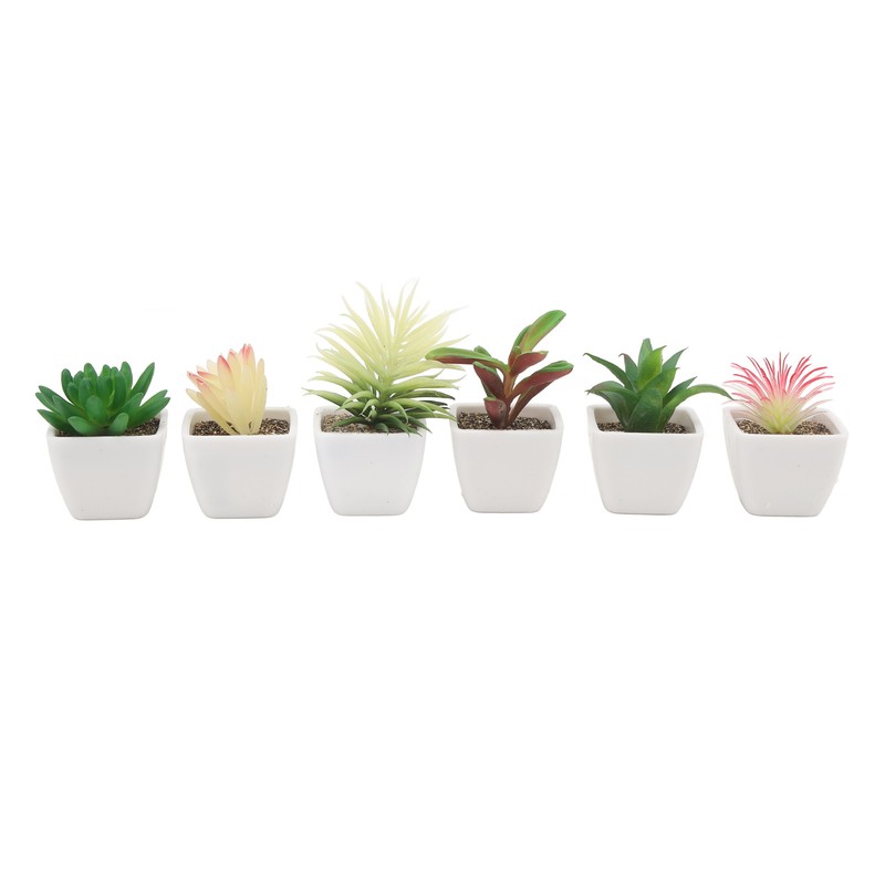 6PCS Potted Artificial Succulents Artificial Plants in Pots Plastic Fake