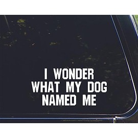 I Wonder What My Dog Named me - for Cars Funny Car Vinyl Bumper Sticker Window Decal | White | 7.5" inch