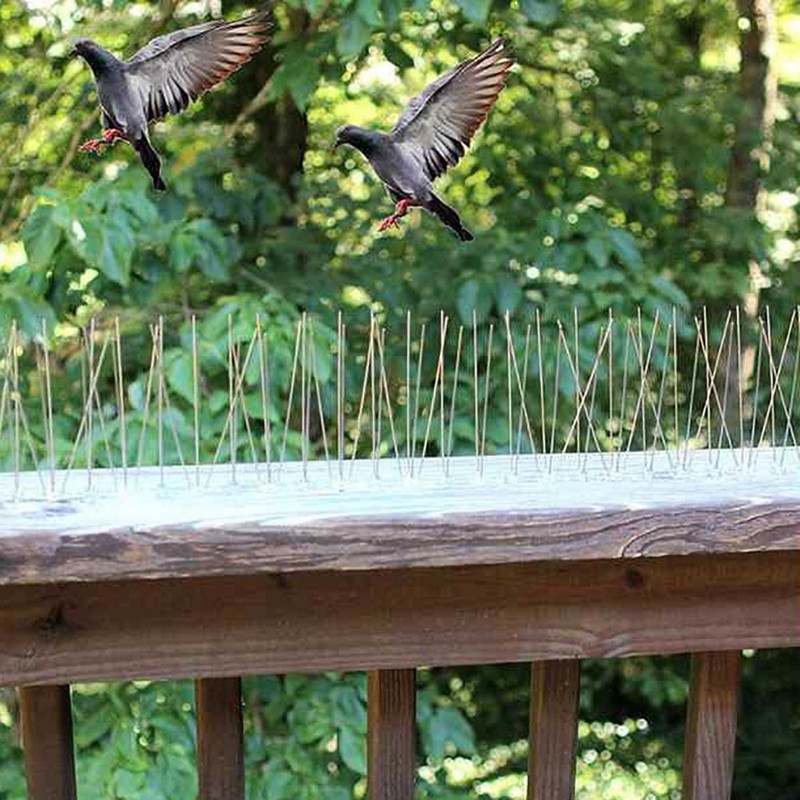 10Pcs 30cm Stainless Steel Anti Bird Spike Outdoor Bird Repellent
