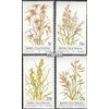 Bophuthatswana 80-83 (complete.issue.) FDC 1981 grasses (Stamps for collectors) plants/mushrooms