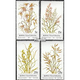 Bophuthatswana 80-83 (complete.issue.) FDC 1981 grasses (Stamps for collectors) plants/mushrooms