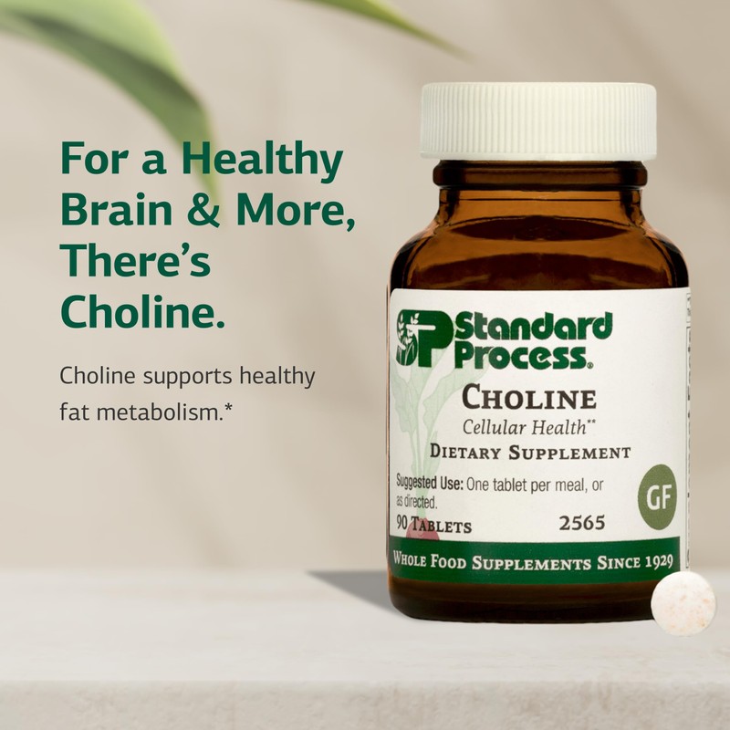 Standard Process Choline - Supports Healthy Fat Metabolism, Liver Health