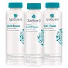 SpaGuard Spa Anti-Foam for Spas & Hot Tubs, 1 pt,
