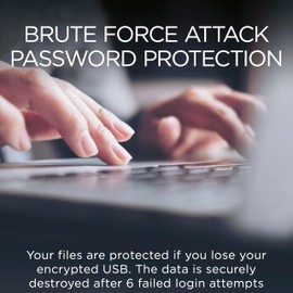 Integral 128GB Courier-197 256-Bit Hardware Encrypted 3.0 USB Secure Flash Memory Drive - Certified to FIPS 197, Brute-Force Password Attack Protection & Super USB3.0 Transfer Speeds XTS-AES