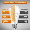 Decoaui ST64 LED E26 Vintage Edison Light Bulbs, Amber Glass,