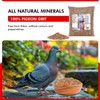 Morning Bird Pigeon Grit - Healthy & Nutritious Bird Food
