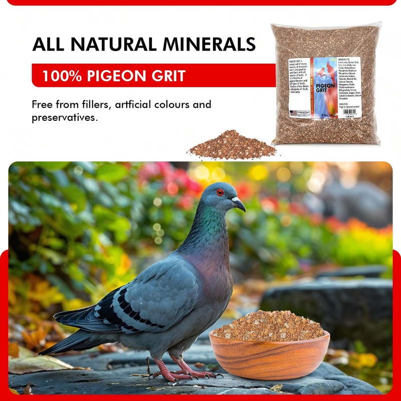 Morning Bird Pigeon Grit - Healthy & Nutritious Bird Food