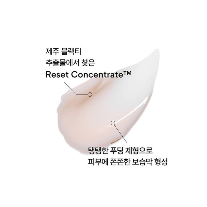 Innisfree 이니스프리 블랙티 유스 인핸싱 크림 50mL Innisfree Black Tea
