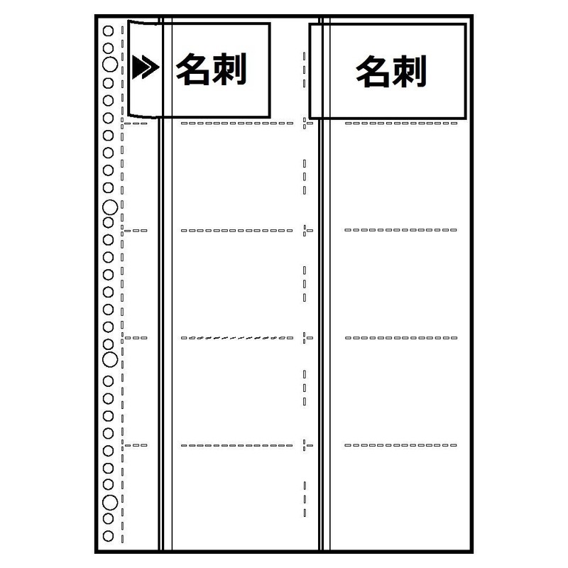 Lihit Lab A5045 Business Card File, Dedicated Pockets, Pack of