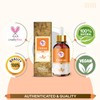 Crysalis Onion Pure Essential Oil (Allium cepa) Steam Distilled Essential