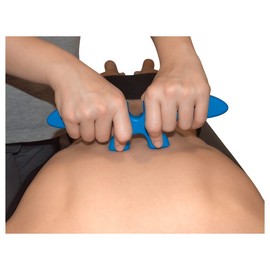 Richelli's Spinemover