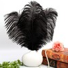 THARAHT Black Ostrich Feathers 12pcs Large Natural Bulk 16-18Inch 40cm-45cm