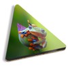 1 x Triangle Coaster - Javan Tree Frog Flying Frogs