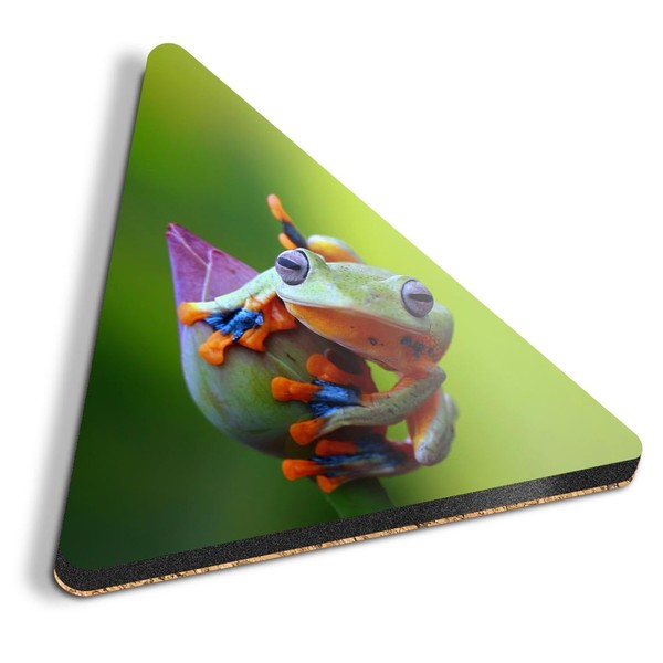 1 x Triangle Coaster - Javan Tree Frog Flying Frogs