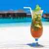 200 Count 8.25" Eco-friendly Bendable Compostable PLA Straws - KTOB