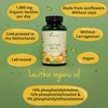Vegavero Vegavero Organic Lecithin Oil 1800 mg | Highly Dosed