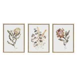 Kate and Laurel Sylvie Wild Banksia, Wild Salvia and Wild King Protea Framed Canvas Wall Art Set by Sara Berrenson, 3 Piece 18x24 Natural, Wildflower Art Set of 3 Wall Décor