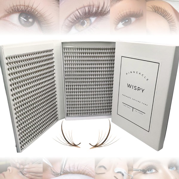 Wispy | 1200 Fans | XXL Box - Speedy strips