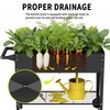 Chuangshuo Guard Elevate 2Pcs 32" Tall Raised Garden Bed with