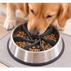 Slow Feeder Insert for Dogs & Cats – Suction Cup