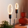 OSRAM Vintage 1906 Globe 80 Filament O Lamp, 4W, 220lm,