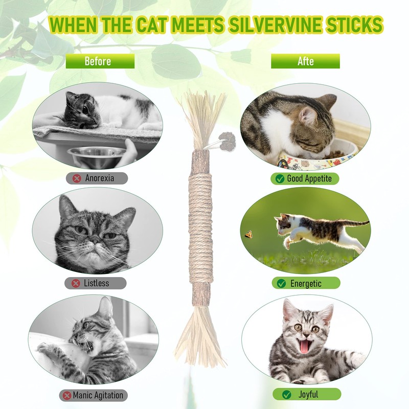 BAWAN Catnip Toys‖ Silvervine for Cats: Cute Cat & Kitten