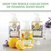 Michel Design Works Foaming Hand Soap, Lemon Basil
