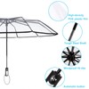 TopTie Clear Umbrella Compact 10 Ribs for Windproof Auto Open