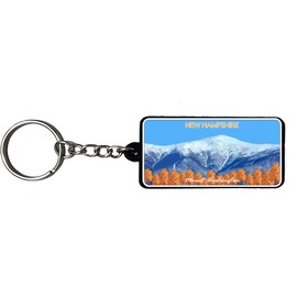 AMERICANPHOENIX Beautiful & Unique Keychain - USA Souvenir, Collectible Design, Flexible Silicone, Keyring Lanyard Accessory (New Hampshire 1)