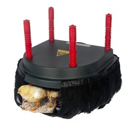 Hantop Chick Brooder Heating Plate with Comfort Feathers, Chicken Coop Warmer Pad Adjustable Height Poultry Incubator Heater Plate, Warms Up to 15 Chicks - 13 Watts (10" x 10")