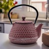20.3oz Small Cast Iron Teapot, SECHUDO Cast Iron Tea Kettle