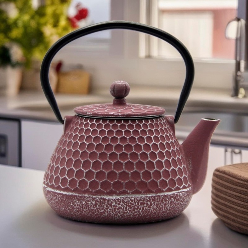 20.3oz Small Cast Iron Teapot, SECHUDO Cast Iron Tea Kettle