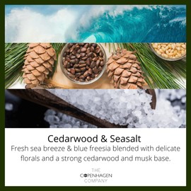 Luxury Reed Diffusers for Home | Aromatherapy Scented | 10 Weeks Long Lasting Fragrance | 10 Natural Rattan Reeds | The Copenhagen Company - Cedarwood & Seasalt (100ml)