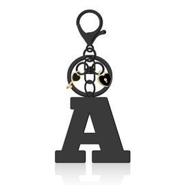 Vadaka Initial Letter Keychain Keyring Couple Keychain for Girlfriend Boyfriend Him Her Alphabet Initial Keychain Tassel Pendant Keyring Stainless Steel Letter Initials Keyring Metal Letter Key Ring