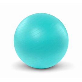 Silfrae Exercise Ball Yoga Ball Pilate Balance Ball, Ball Chair with Pump Anti-Slip & Anti-Burst for Fitness, Home and Office 55/65/75cm (Blue, 55cm)
