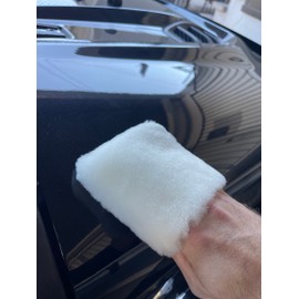 Tru Lamb Genuine Lambswool Fingertip Mitt Applciator - Auto Detailing 2", 3" 4" (12, Assorment 2", 3", 4" (4 Each))