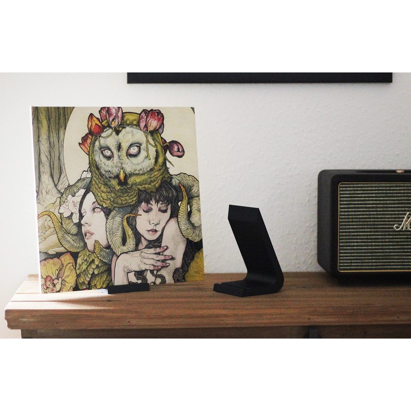 NewGround Designs LP Stand, Vinyl Display, Record Holder, Decorative 12