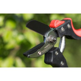 Meister Gartenschere mit Amboss-Klinge - Antihaft-Beschichtung - Geeignet für trockene Zweige & Äste / Rosenschere / Rebschere / Floristenschere / Strauchschere / Amboss-Schere / 9719200