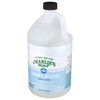 Charlie's Soap Indoor-Outdoor Surface Cleaner with Pump (1 Gallon, 1