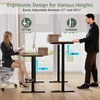 Our Modern Space 2-Tier Height Adjustable 45" Electric Standing Desk