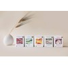 RISHI Organic Sencha Green Tea, 15 CT