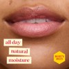 Burt's Bees Winter Wonder Lip Balm Gift Set, Apple Crisp,