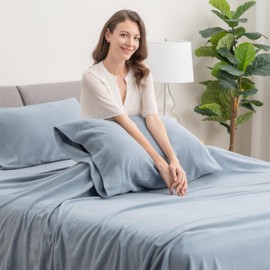 Berkshire Blanket Luxury Soft Microfleece Twin Sheet Set, Warm and Durable, All Season Sheet (Twin, Polar Blue)