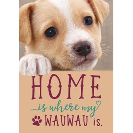 Gutsch Verlag Birthday Postcard for Dog Lovers: 'Zuhause ist, wo die Pfote ist' - Loving Saying with Heart & Dog Look