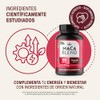 LIFE 360+ Maca Blend (Maca Negra, Amarilla y Roja)| 120