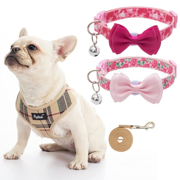 PUPTECK Dog Harness Leash with 2 Pack Collars