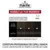 Colorazione Professional Performance 1_1 Palette Black